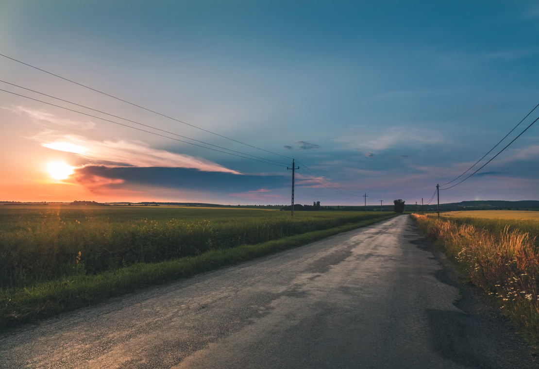 Report - ricerche e analisi