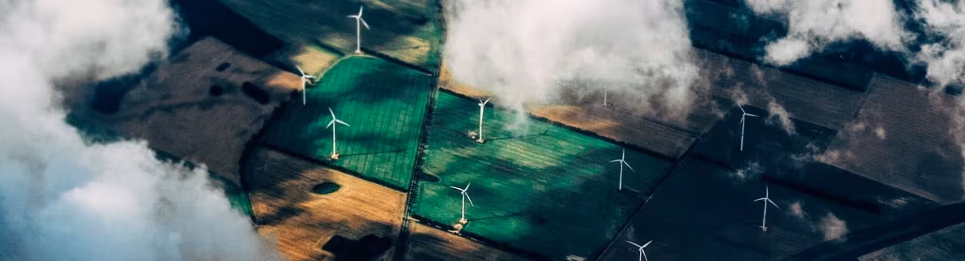 Servizi specializzati in tutto il mondo