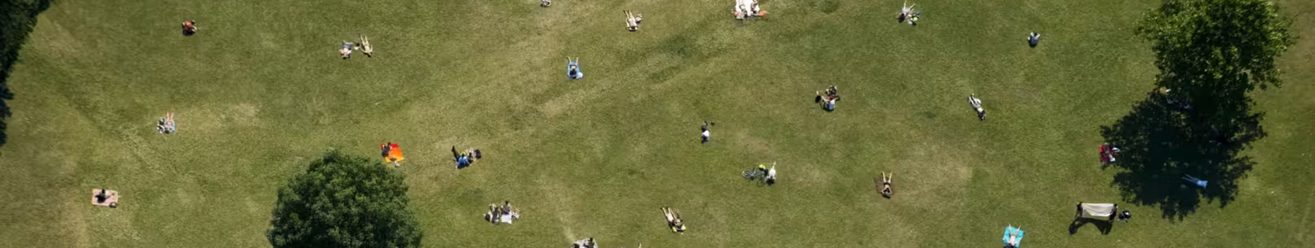 Scopri il nostro management