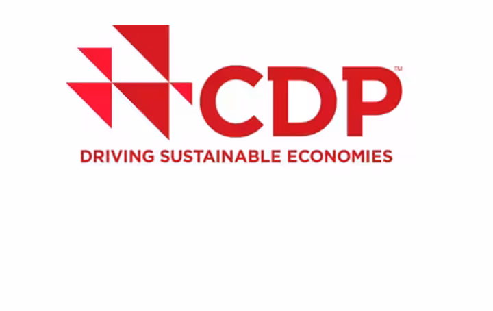 CDP BANNER 2