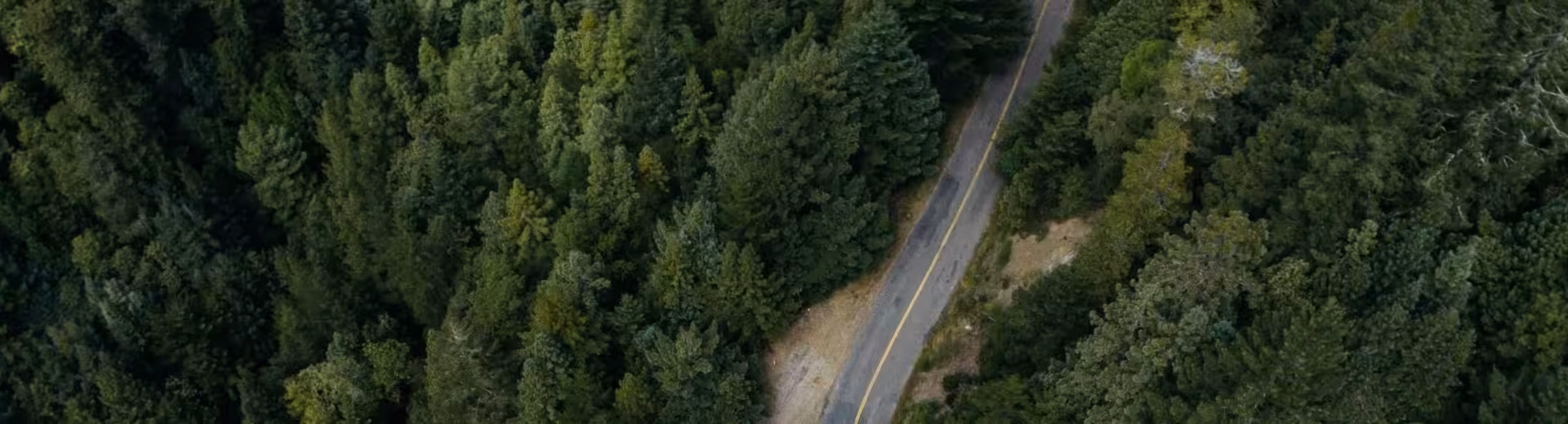 Attività locali, presenza globale